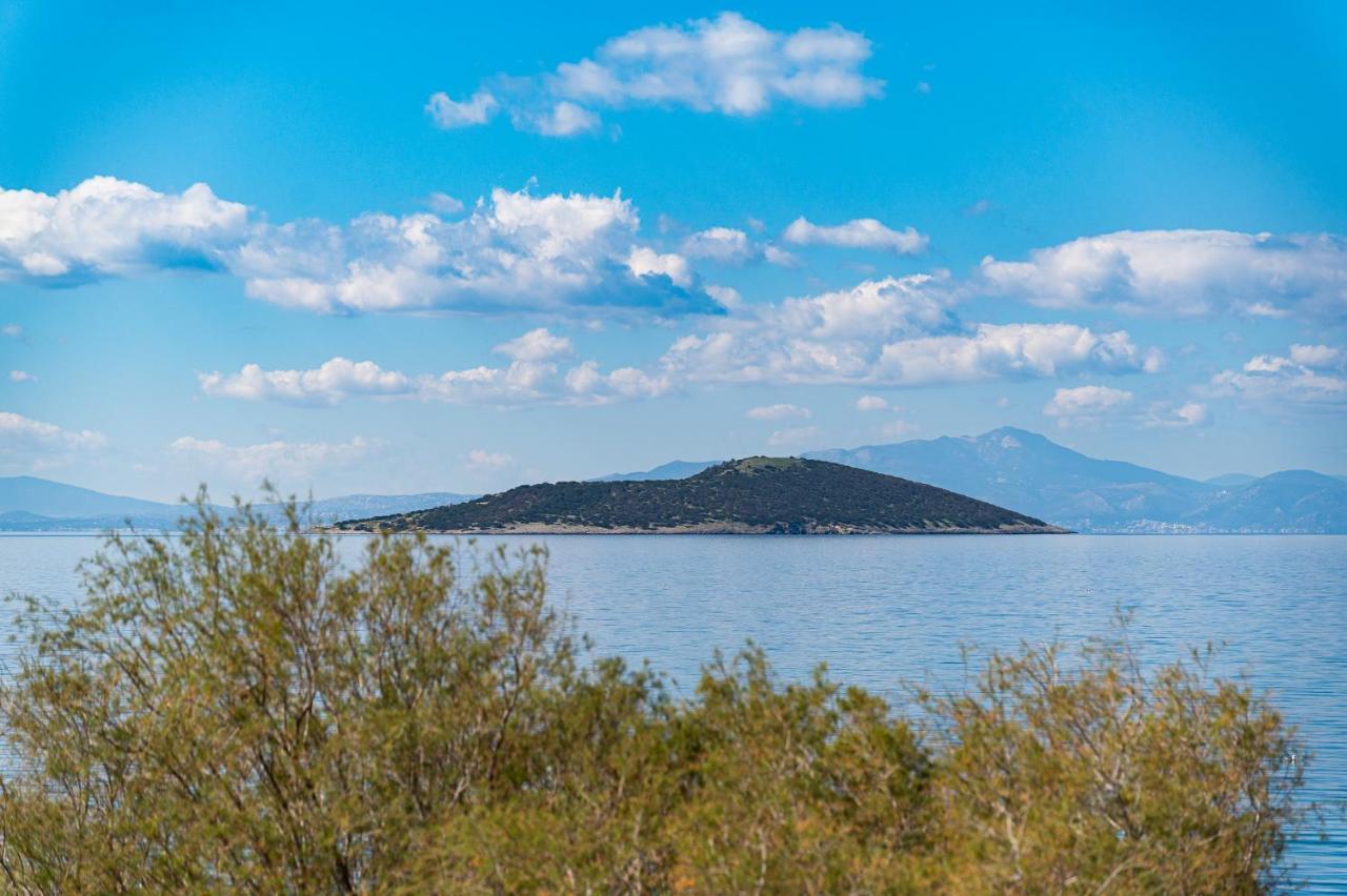 Appartamento Ο Μόλος Marmari  Esterno foto